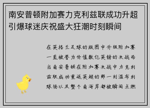 南安普顿附加赛力克利兹联成功升超引爆球迷庆祝盛大狂潮时刻瞬间